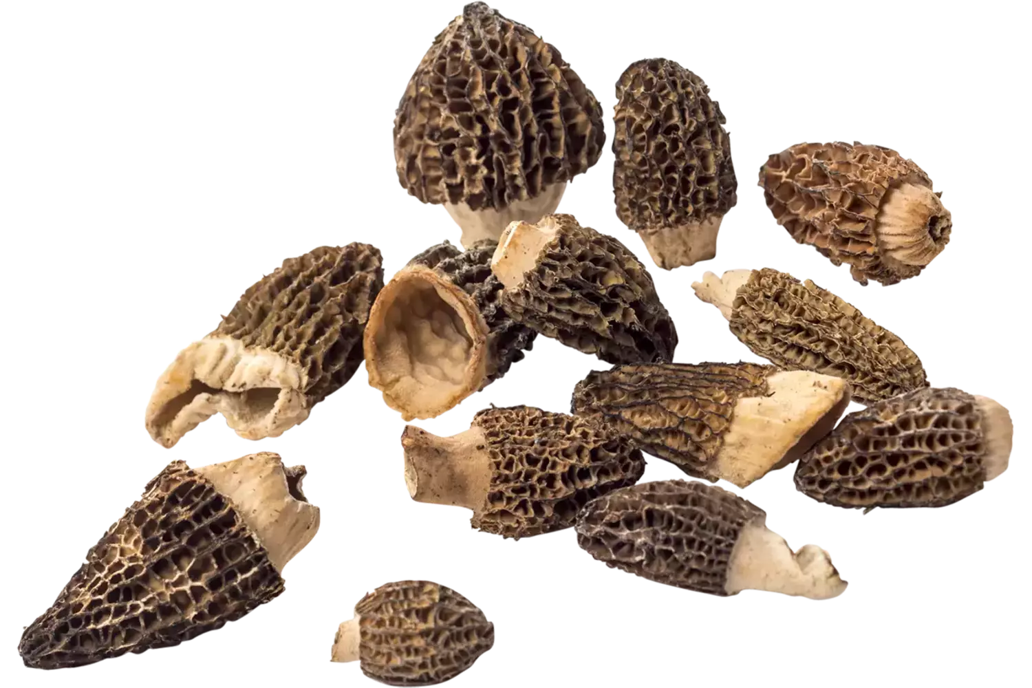 Morilles cultivated crade 1 kilo