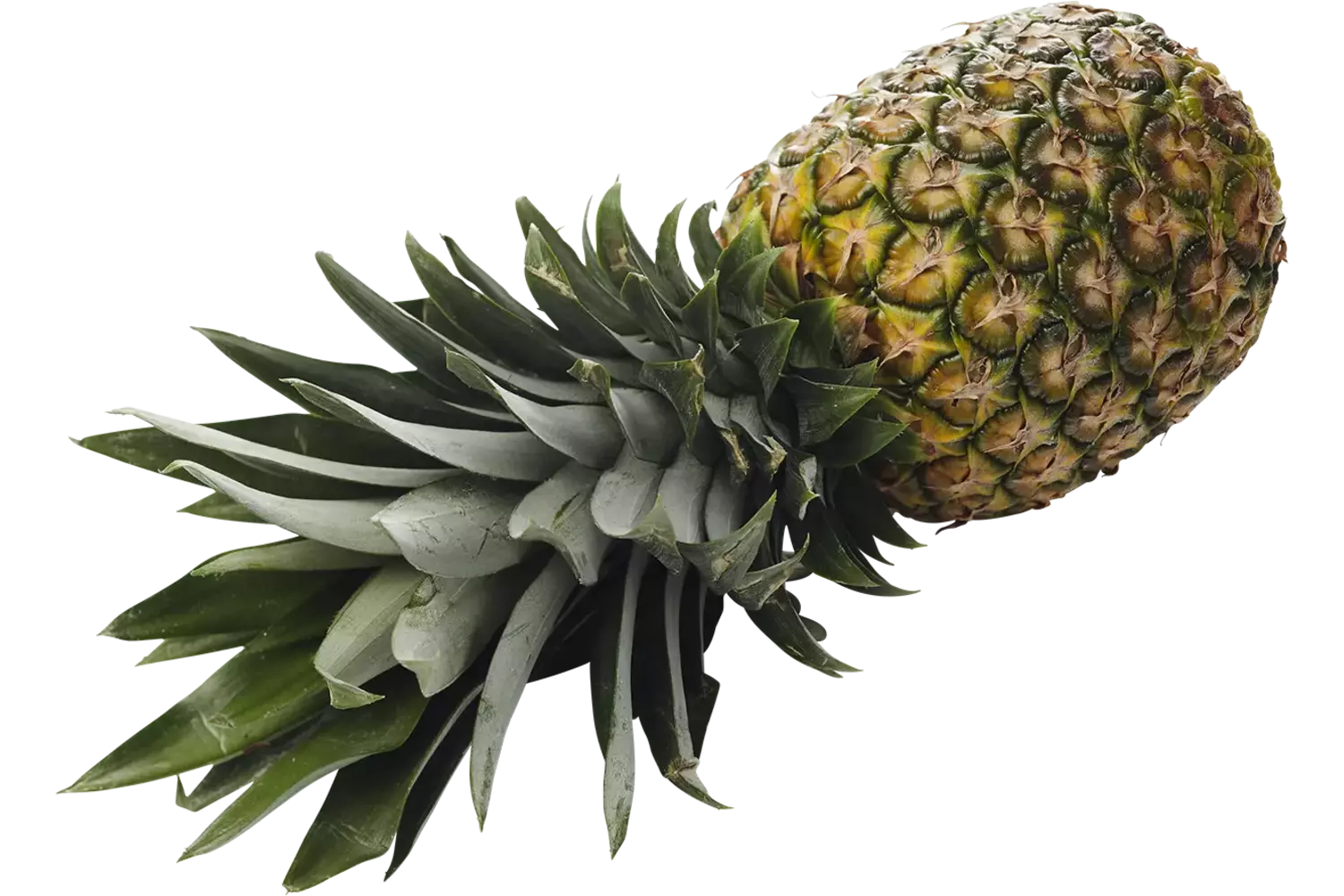 Bio Ananas