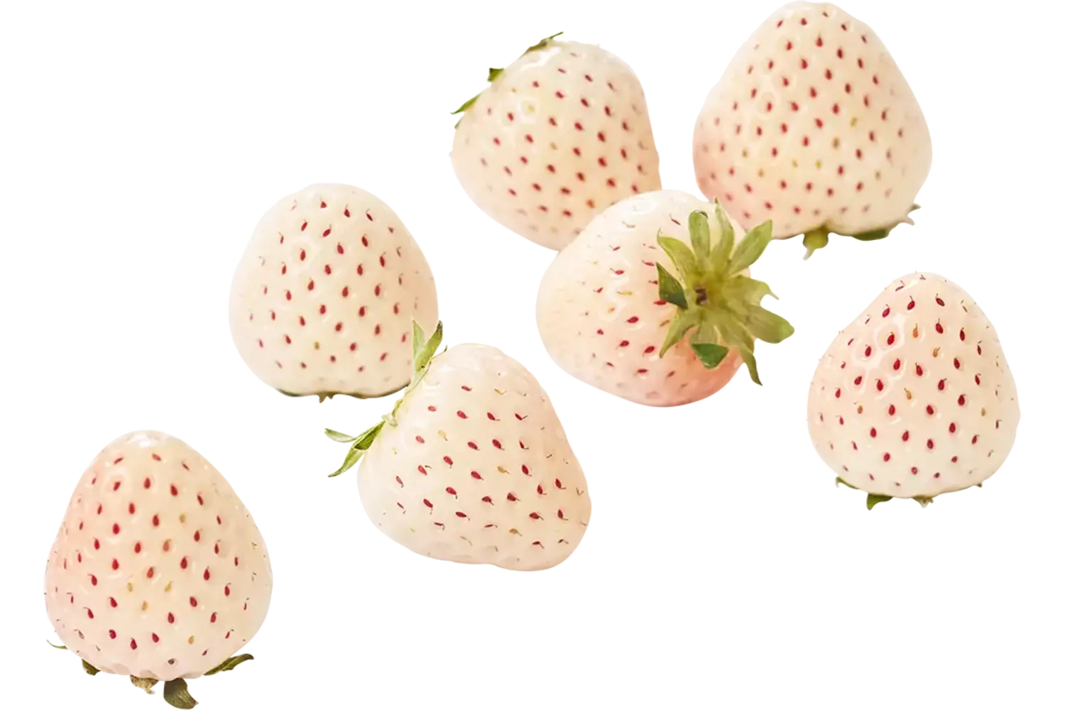 Whiteberry aardbeien 100gr. kist 12 stuks