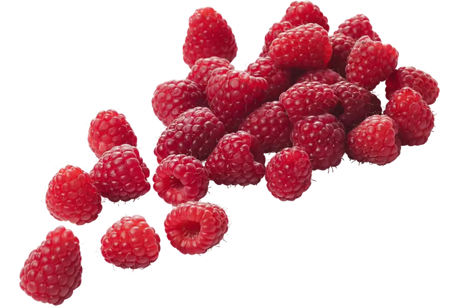 Frambozen beekers berries 125gr kist 12 stuks