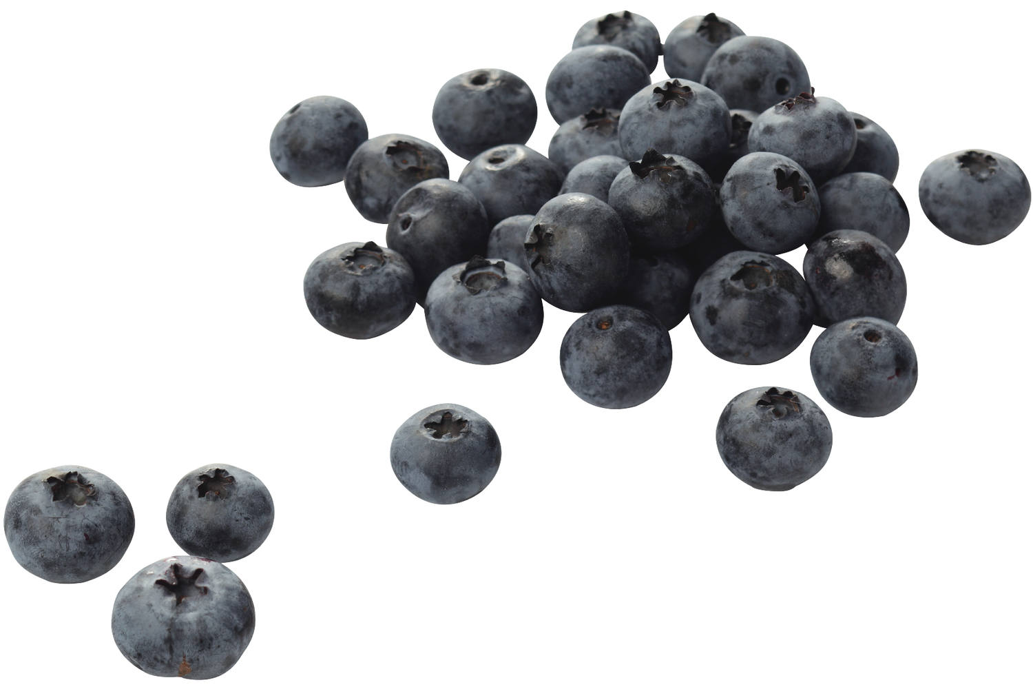 Blauwe bessen Beekers Berries 125gr kist 12 stuks 1