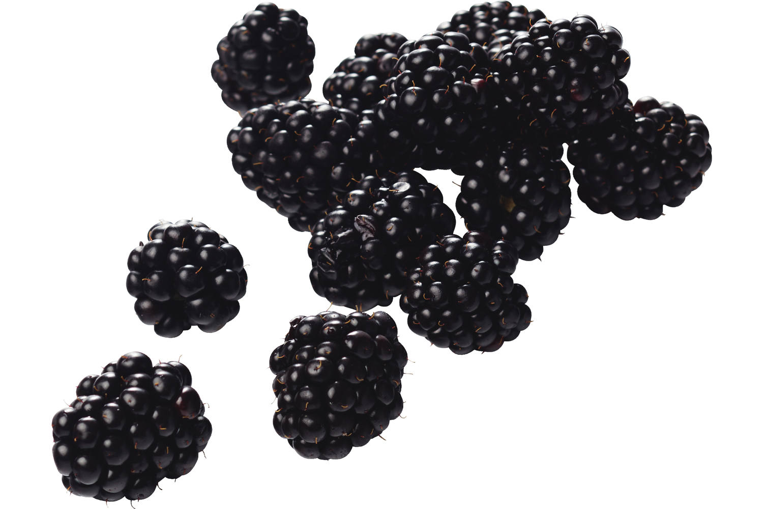 Bramen beekers berries 125gr kist 12 stuks 1