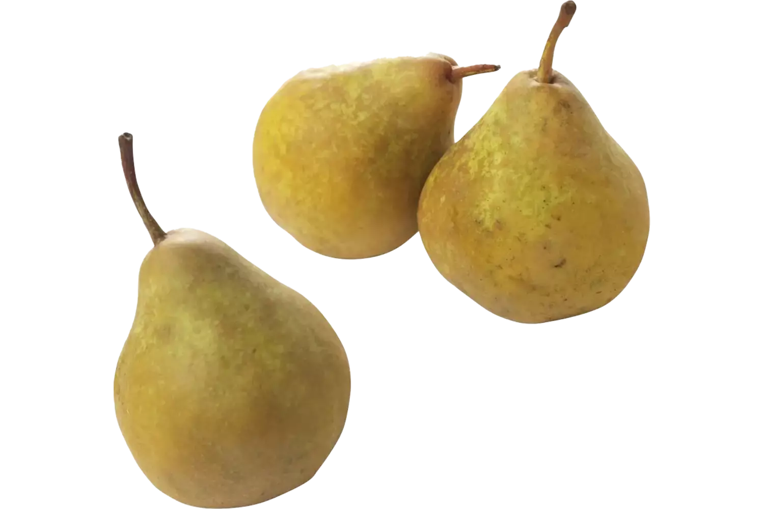 Gieser Wildeman pear small 50-60 crade 14 kilo