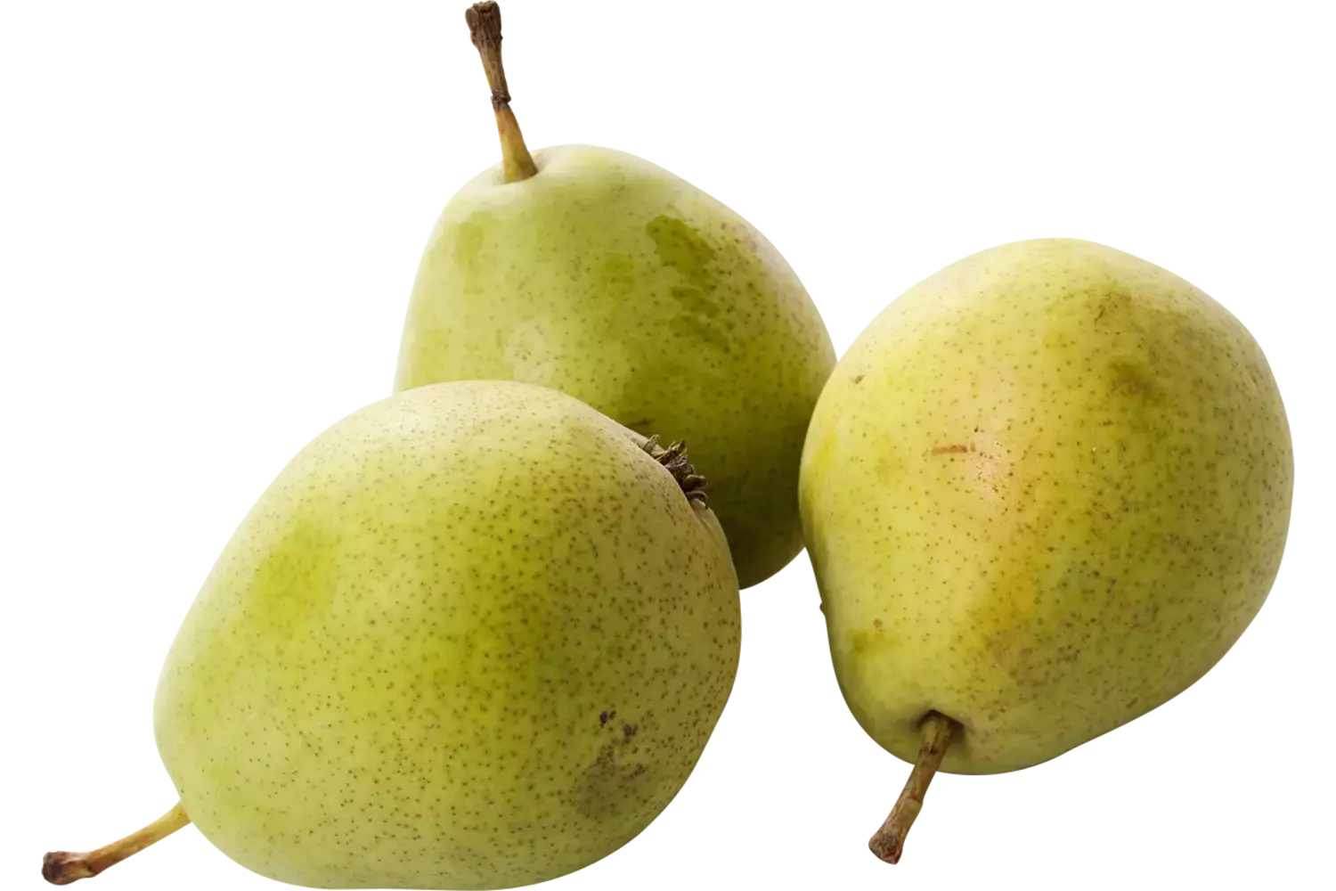 St.remy peren 70-80 kist 14 kilogram