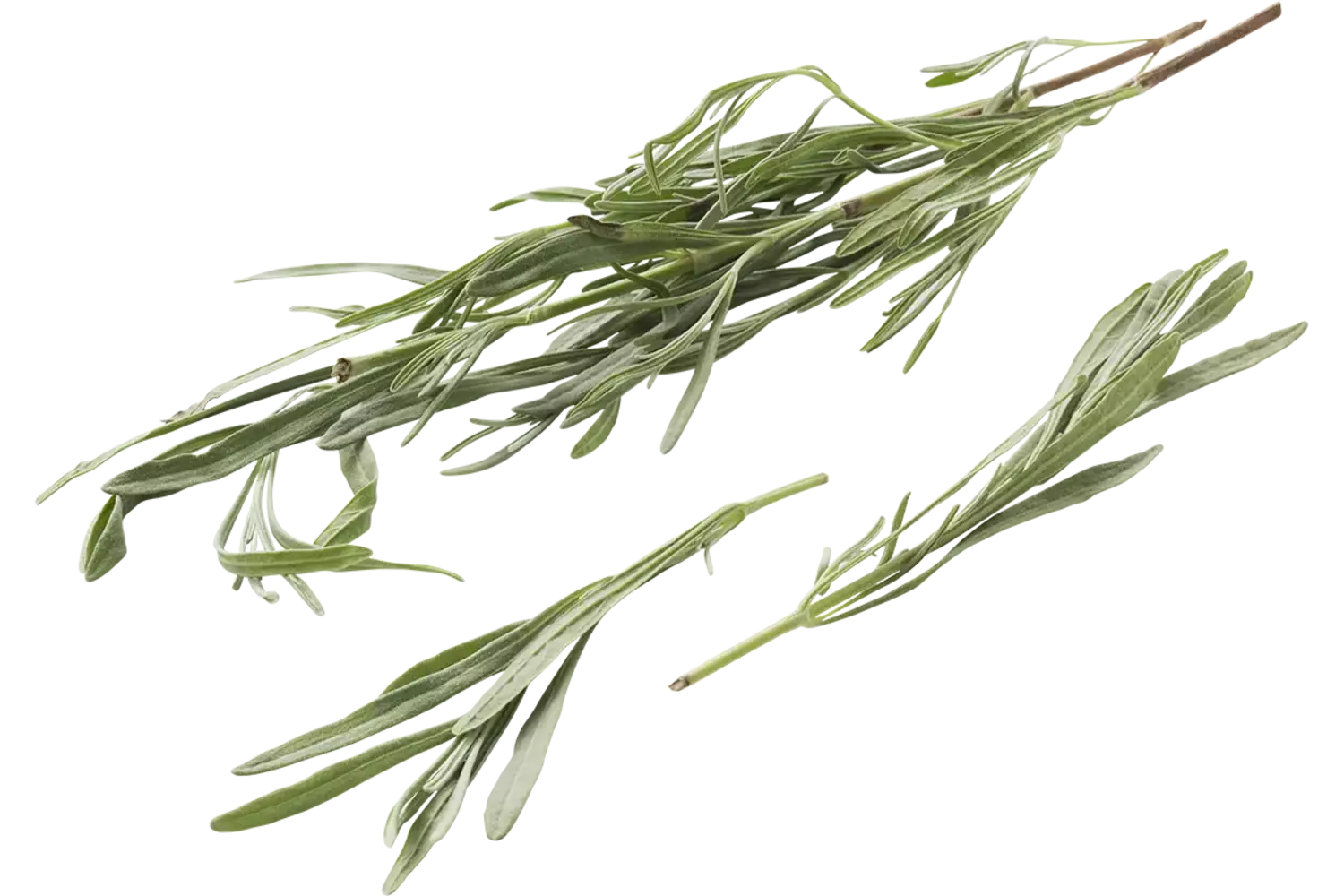 Lavender leaf bundle crade 15 pieces