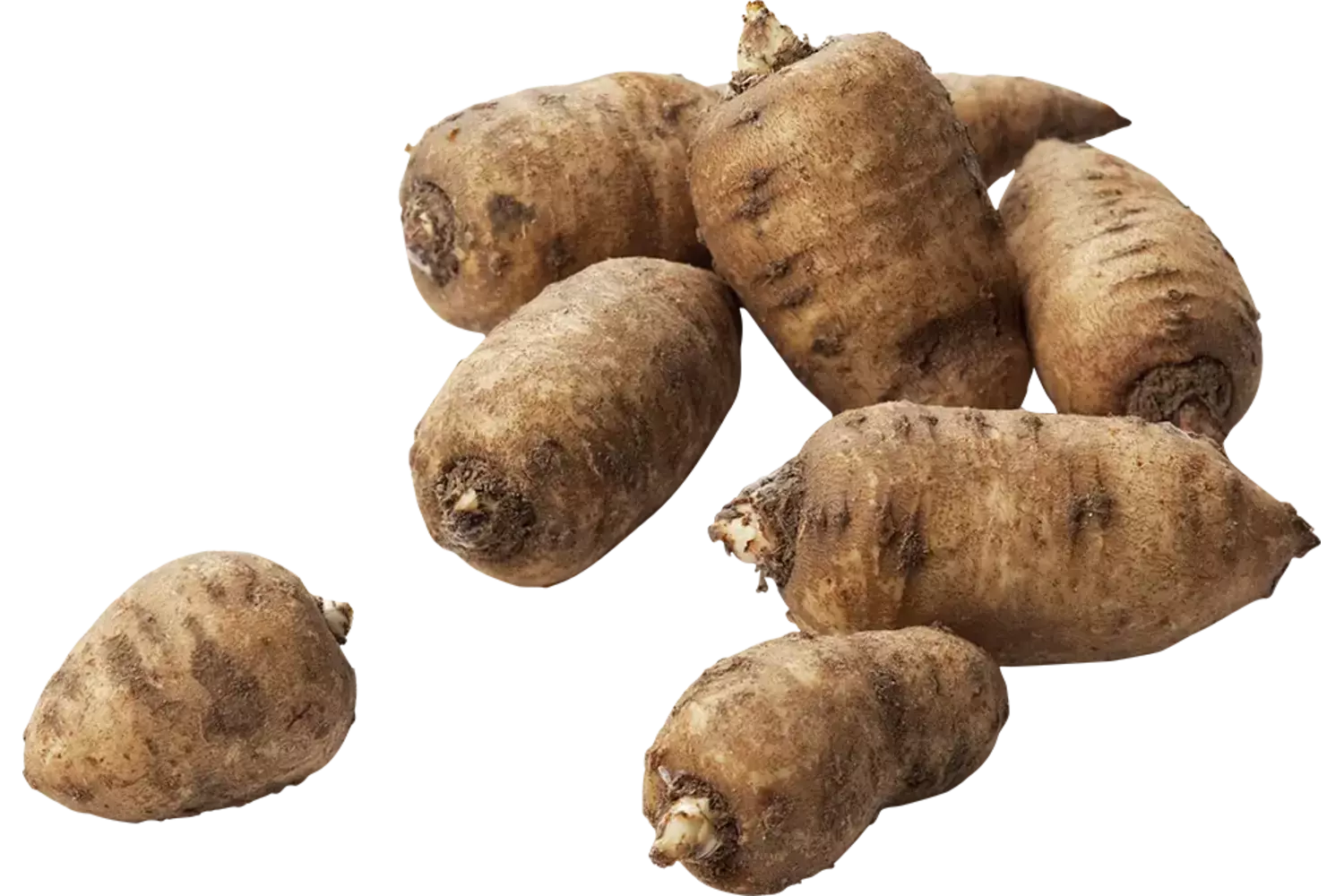 Kervelwortel kist 3 kilogram