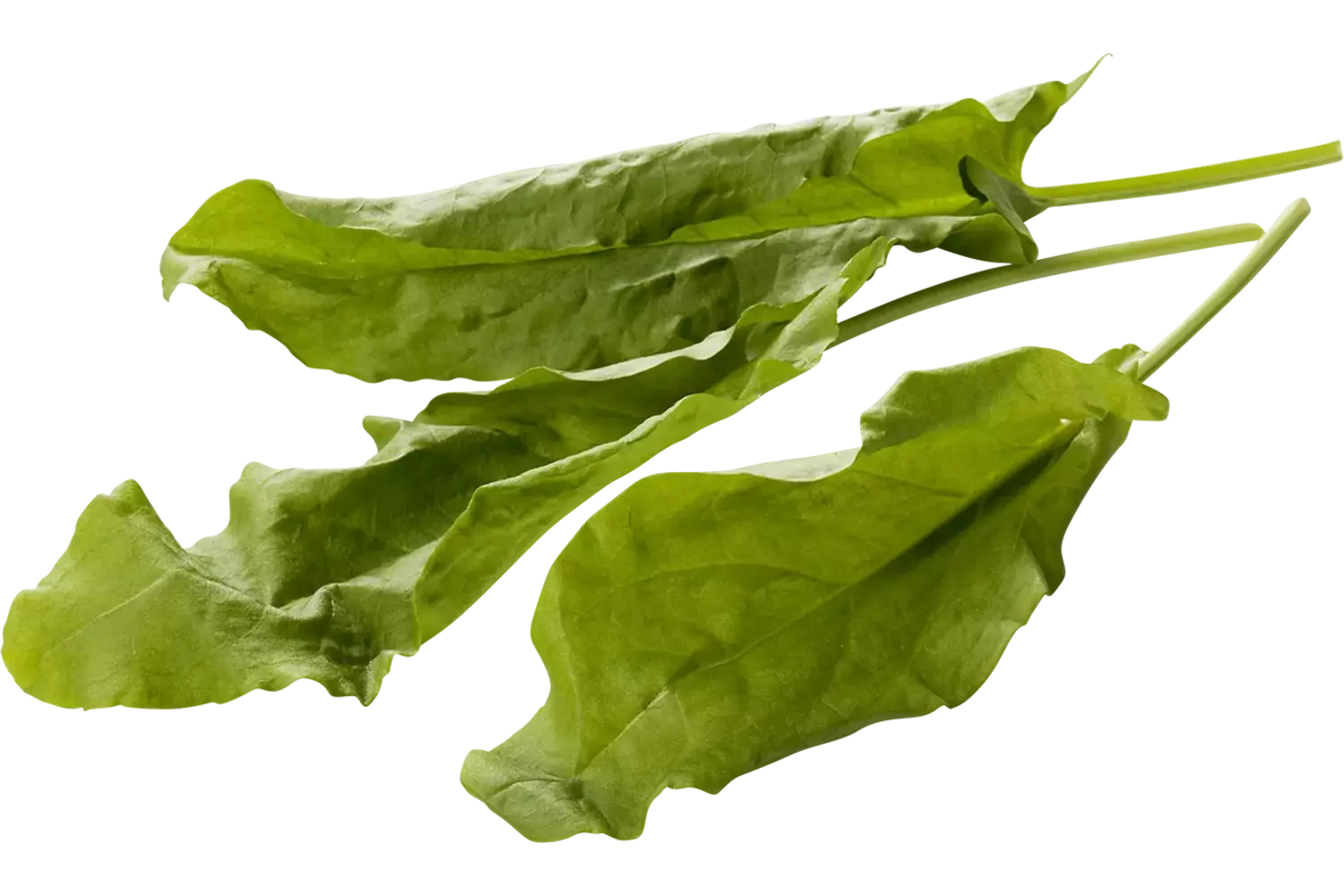 Zuring groen 75-80gr stuk