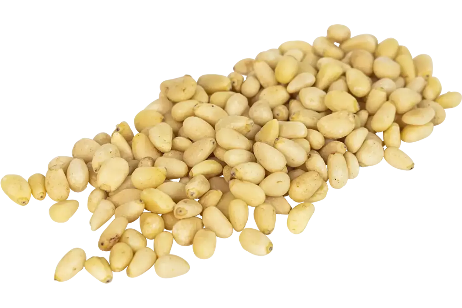 Pijnboompitten 1kg stuk