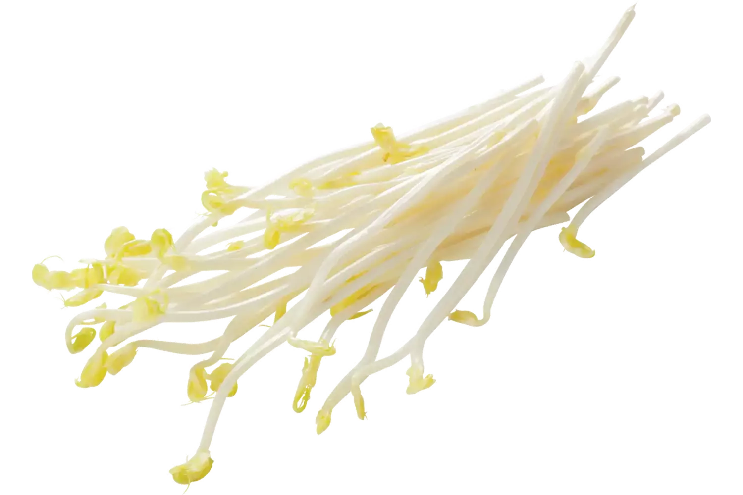 Erwten aspergescheut 100gr stuk