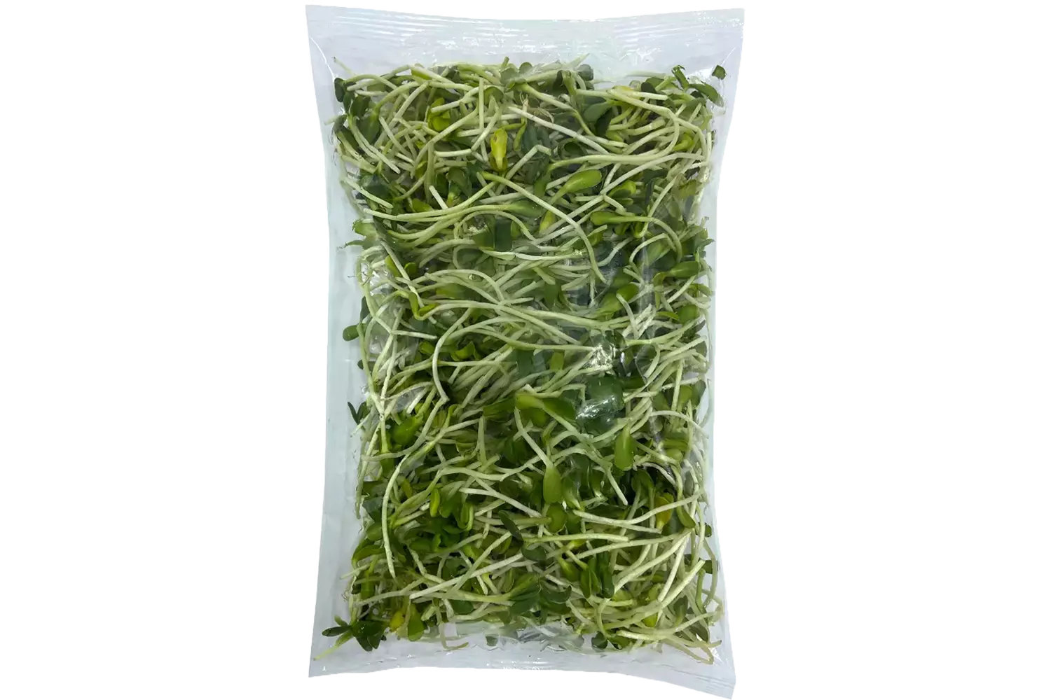 Zonnebloem kiemen 250gr stuk