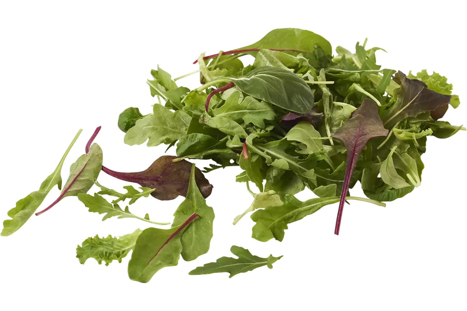 Luxe Slamix 500gr stuk