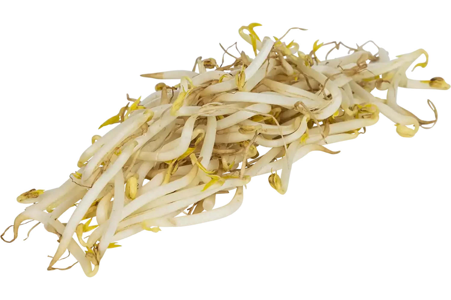 Tauge verpakt 1kg kist 10 stuks