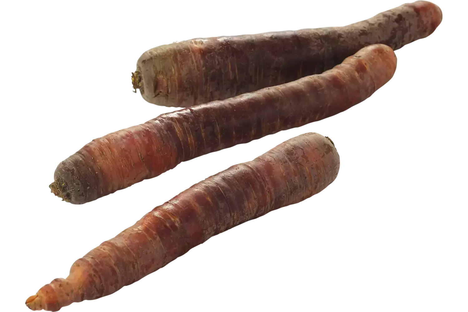 Winterpeen paars verpakt 1kg