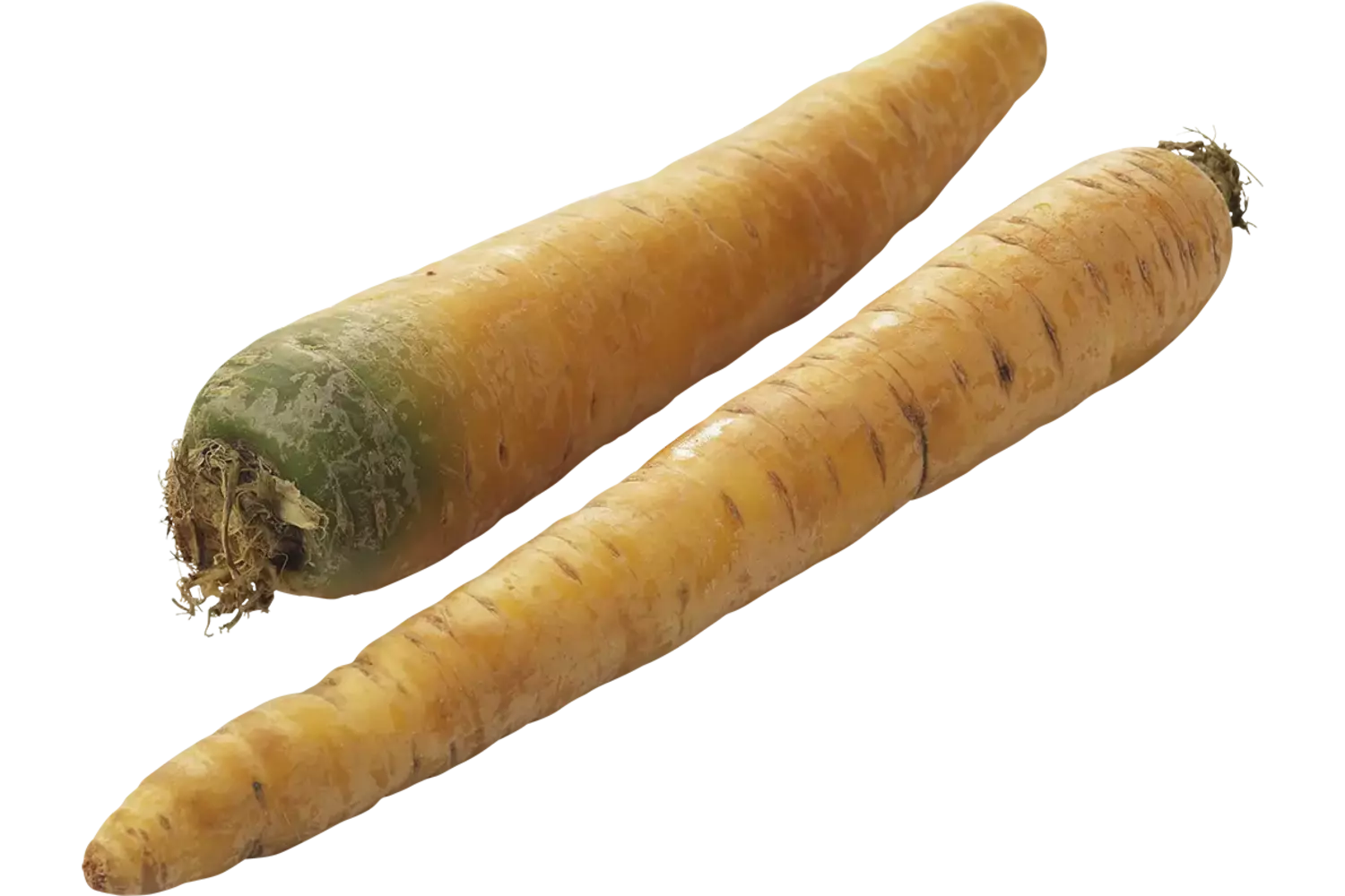 Winterpeen geel verpakt 1kg