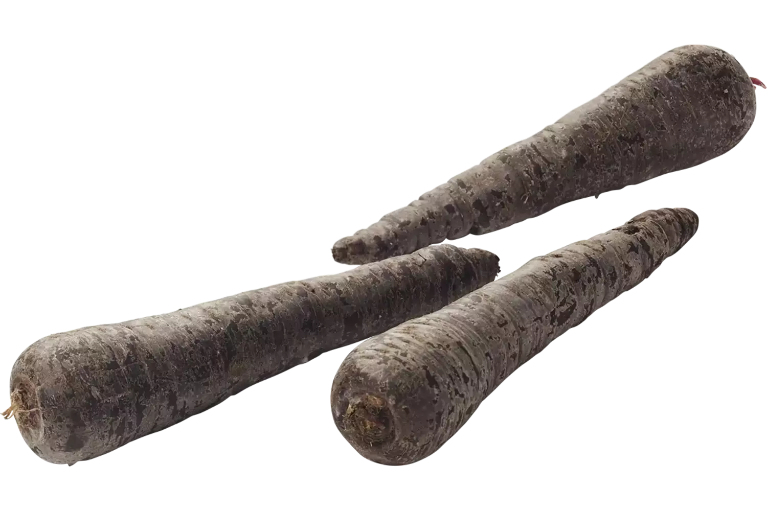 Winterpeen zwart kist 5 kilogram