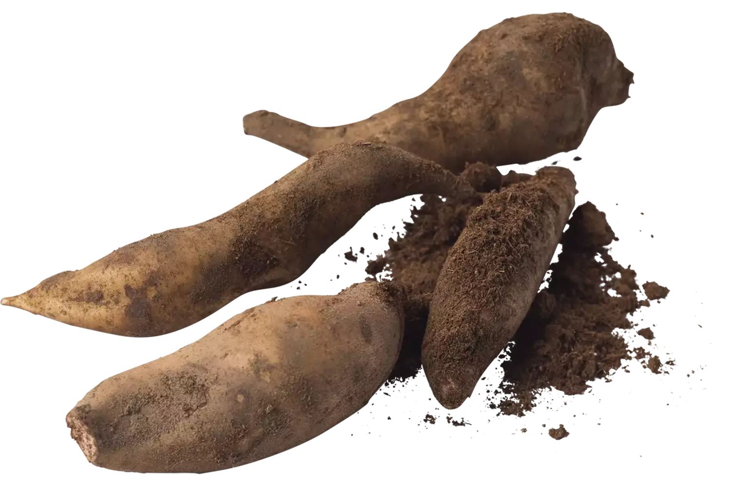 Yacon doos 2kg