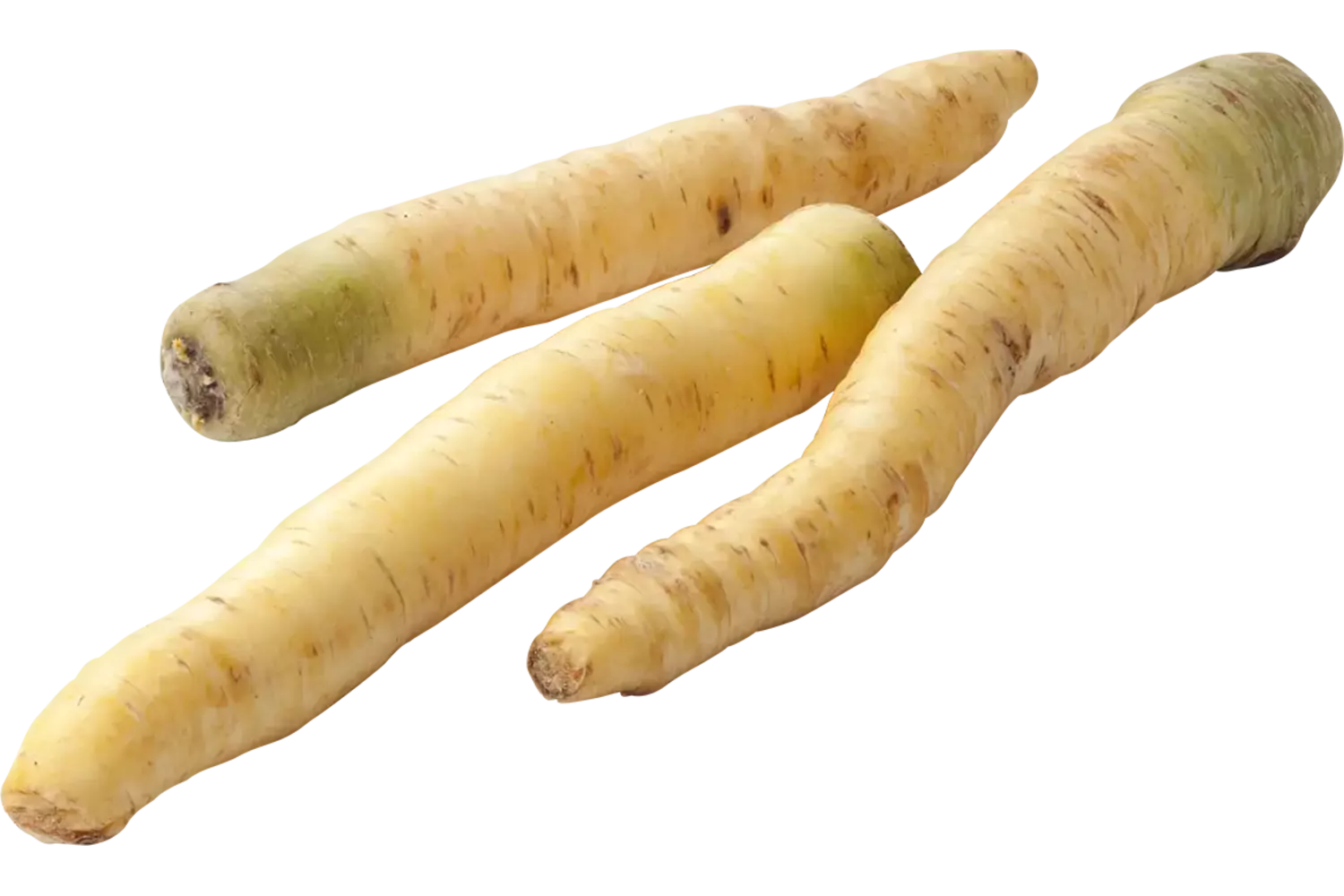 Carrot white 1kg piece
