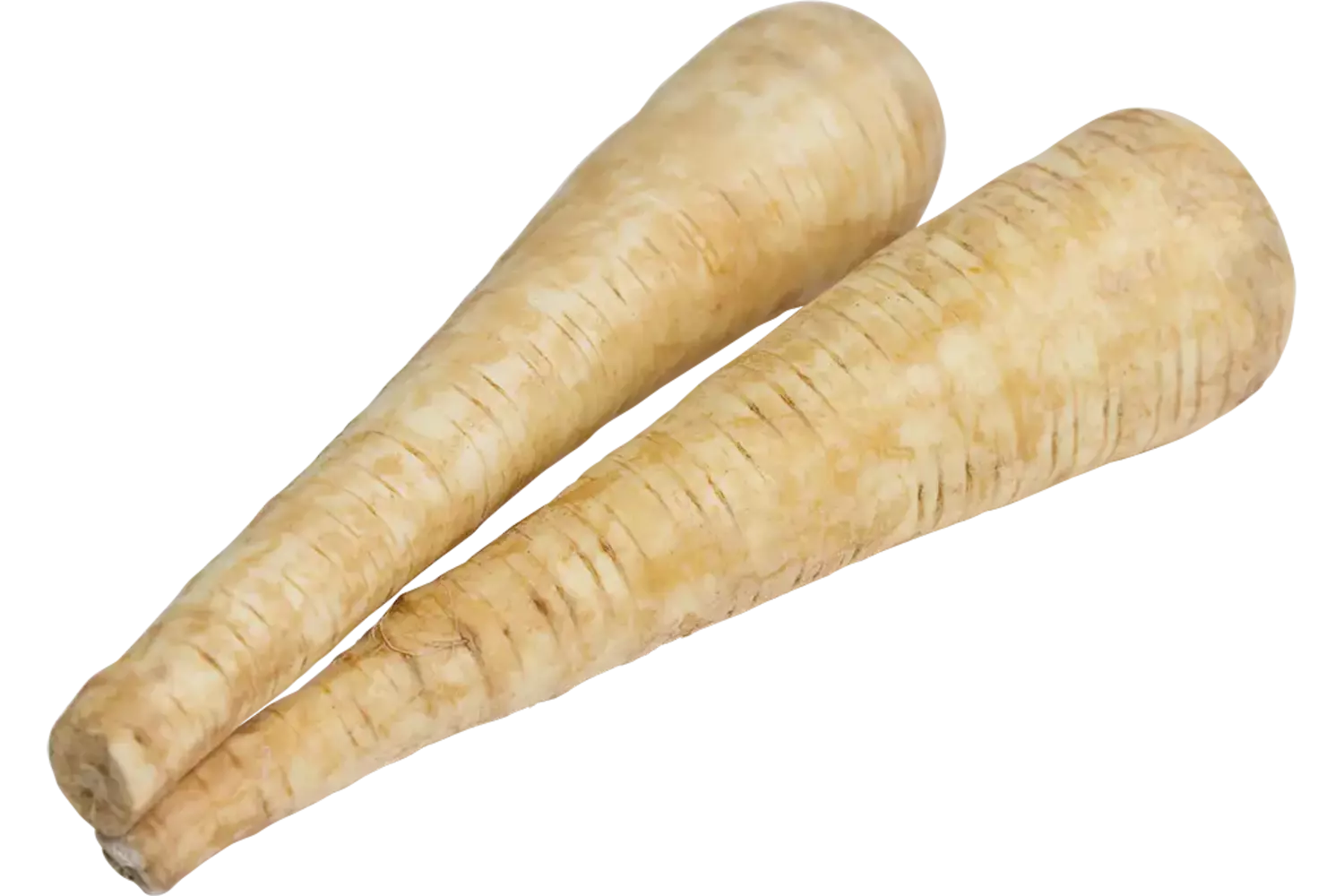 Pastinaken grof kist 5 kilogram
