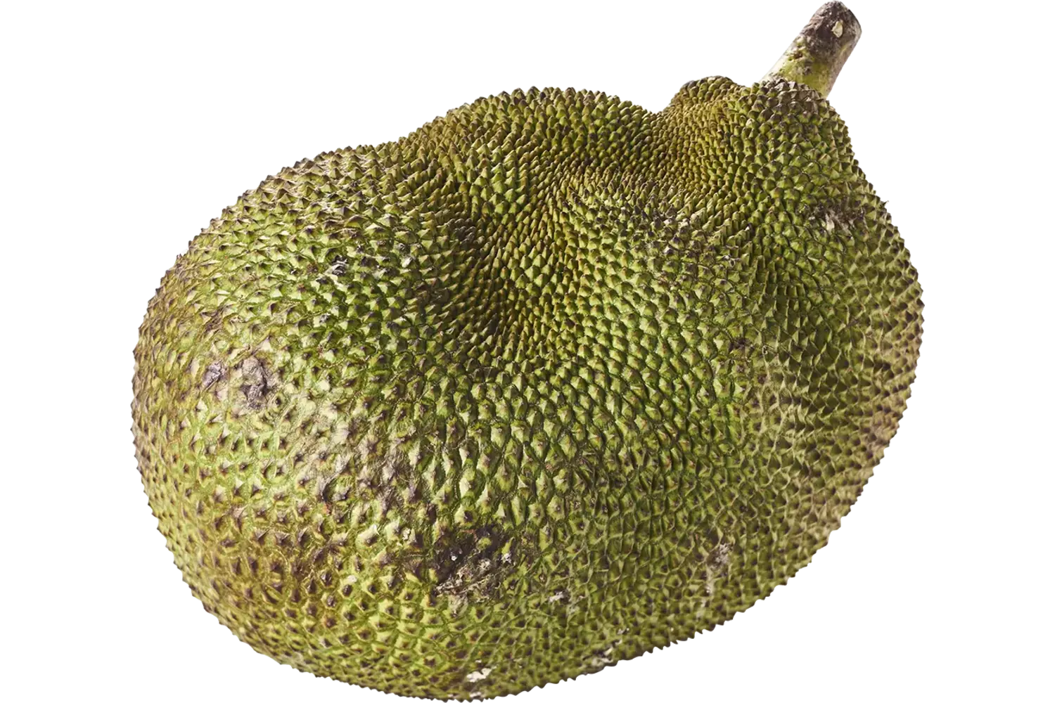 Jack fruit-Nanka fruit