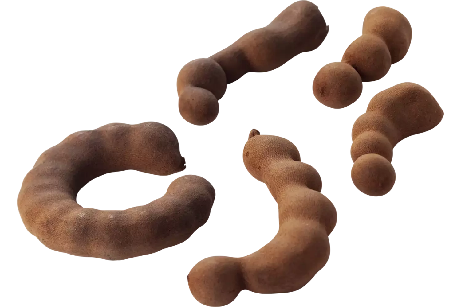 Tamarind 450g size 6 crade 6 kilo