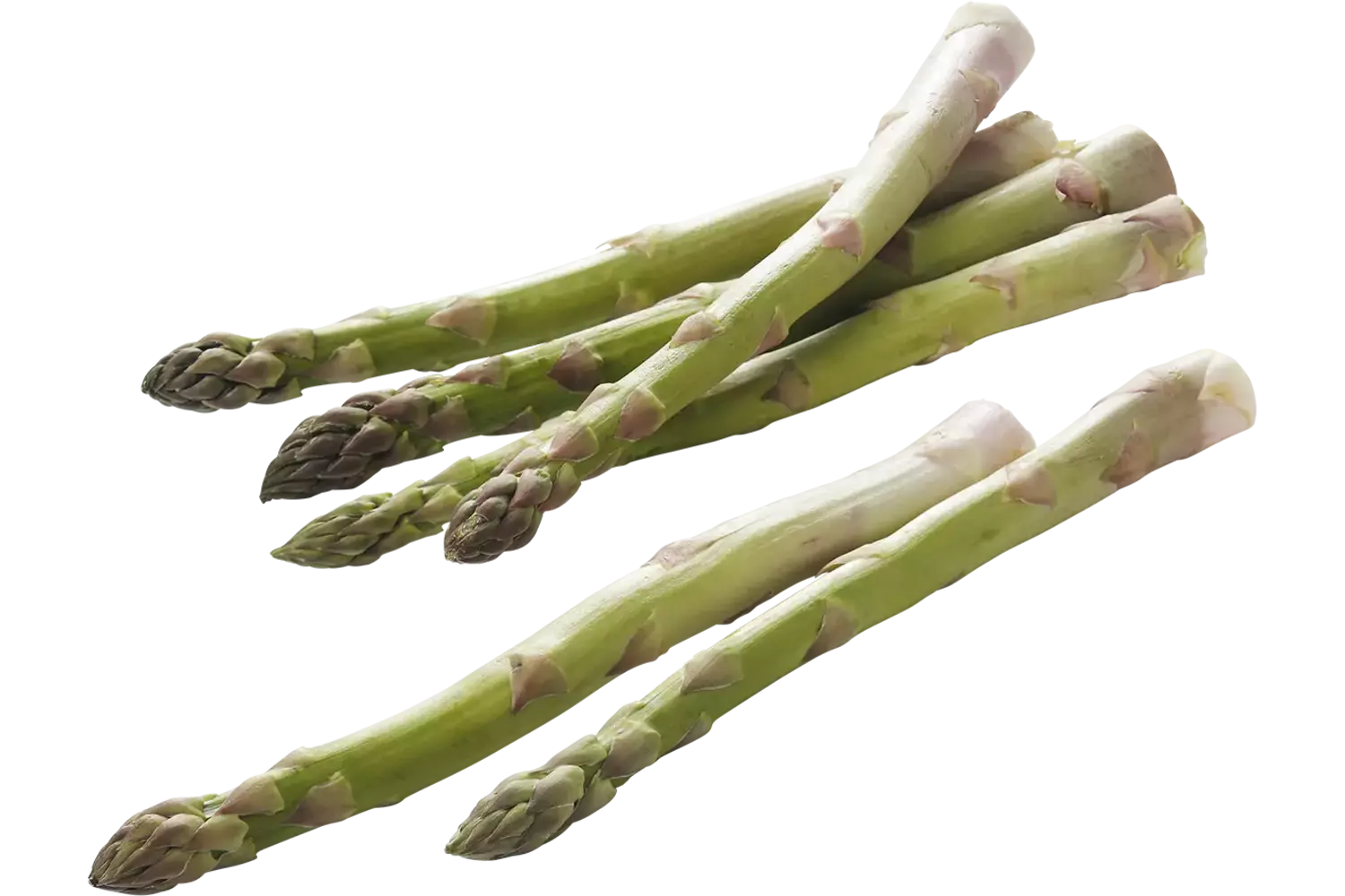 Asperges groen large 450gr kist 11 stuks