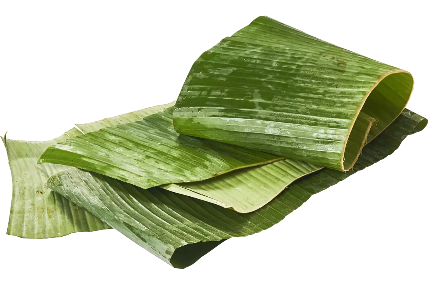 Feuille de bananes longues caisse 2kg