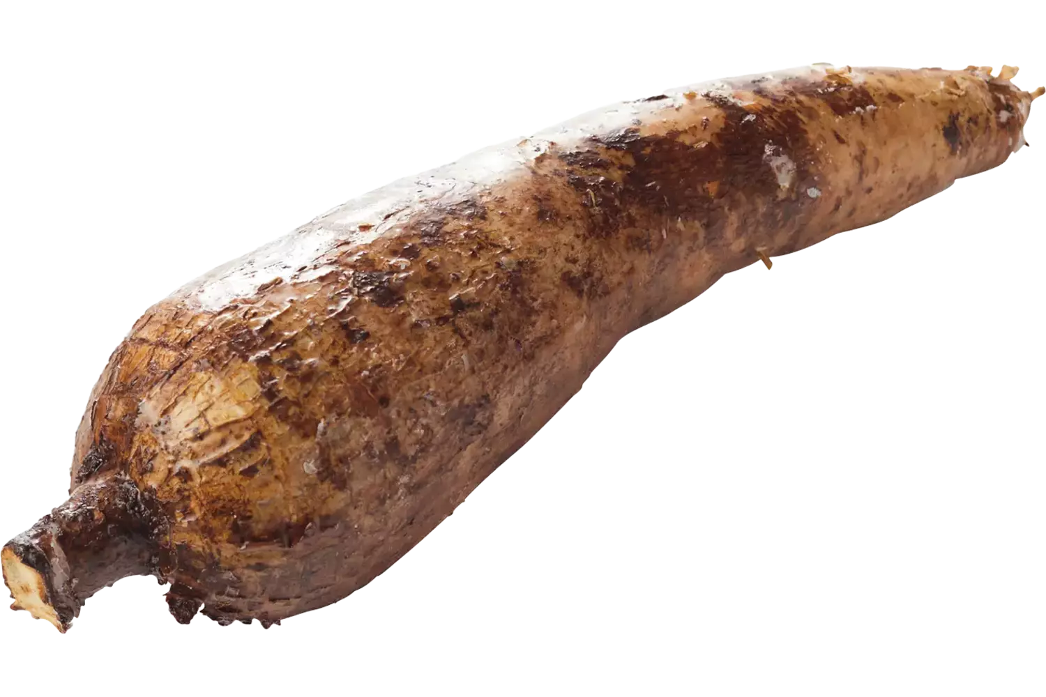 Manioc 1,5kg pièce