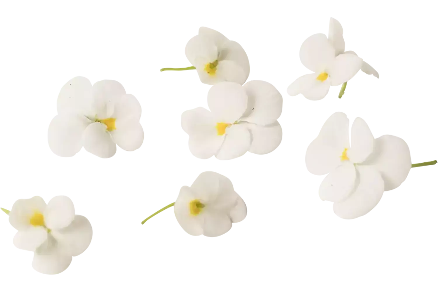 Eetbare bloem Viooltjes wit 22st. stuk