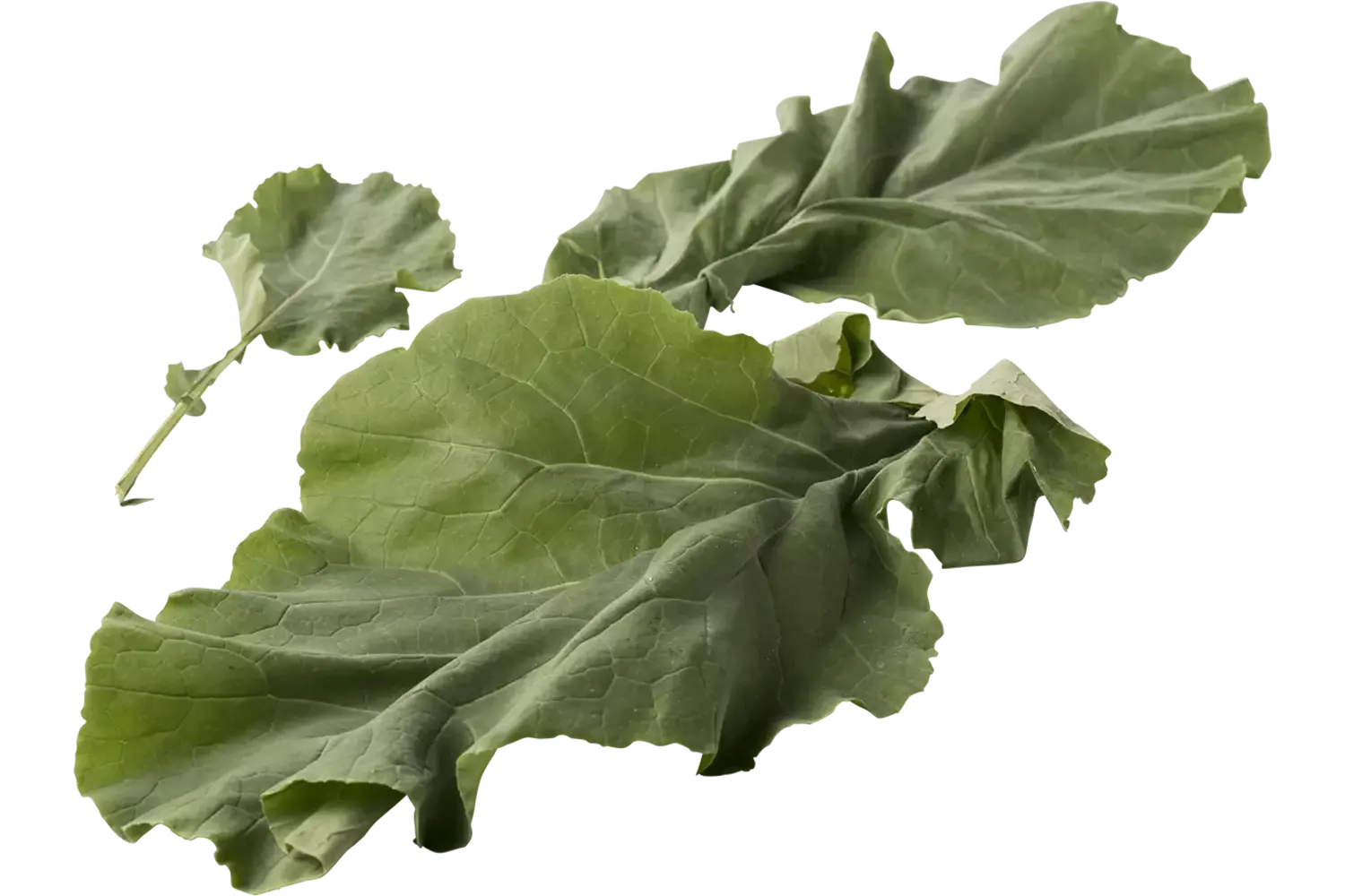 Leaf cabbage 250gr piece