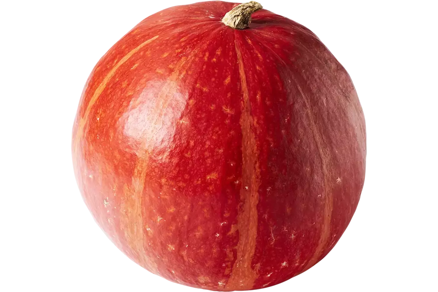 Pompoen Connecticut 5,5 kilo kist 1 stuk
