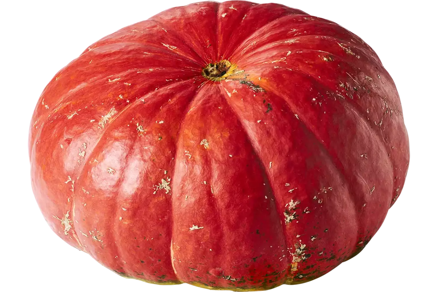Pompoen Garbo 5 tot 7 kilo kist 1 stuk