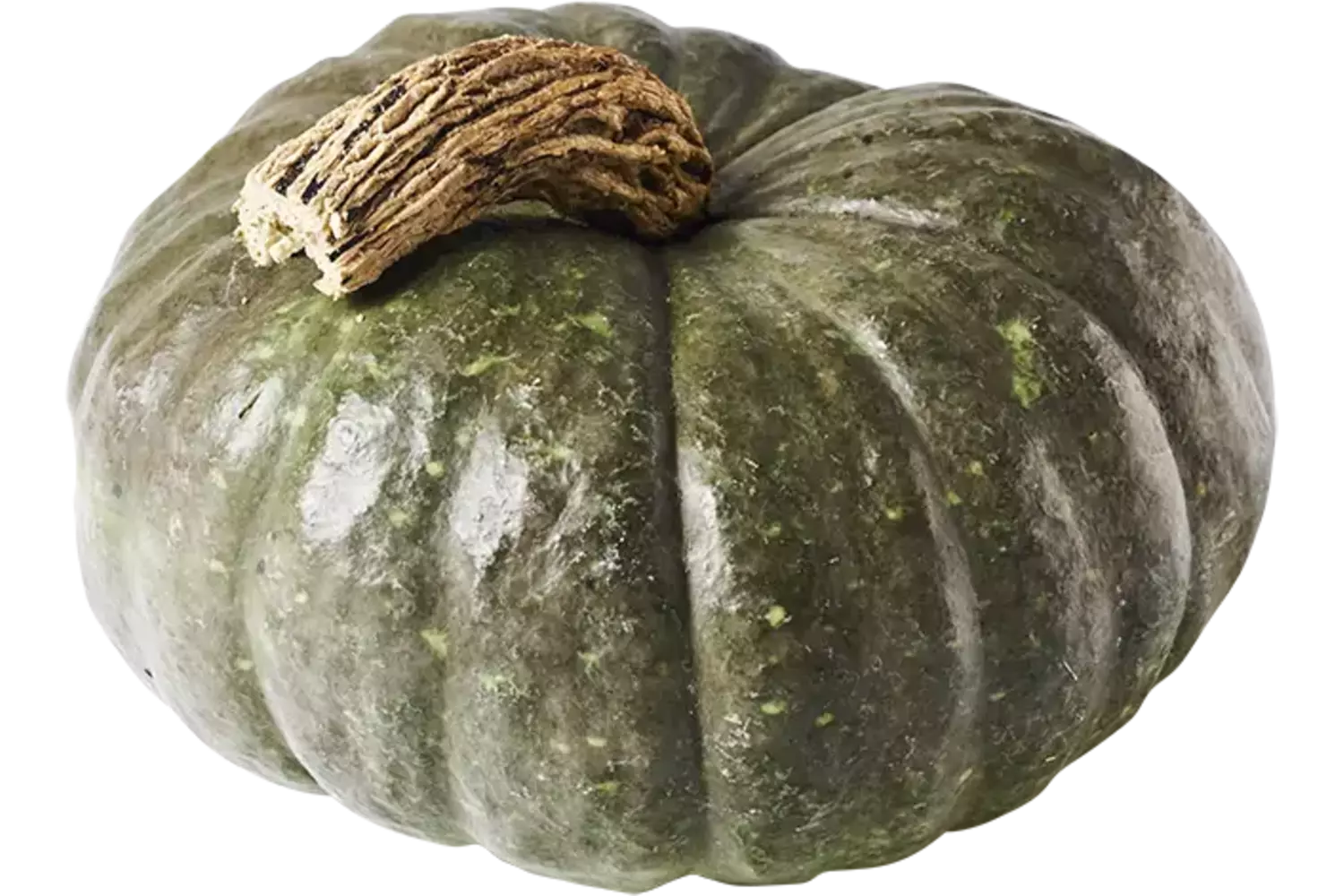 Pompoen Blue Kuri 2 tot 4 kilo kist 1 stuk
