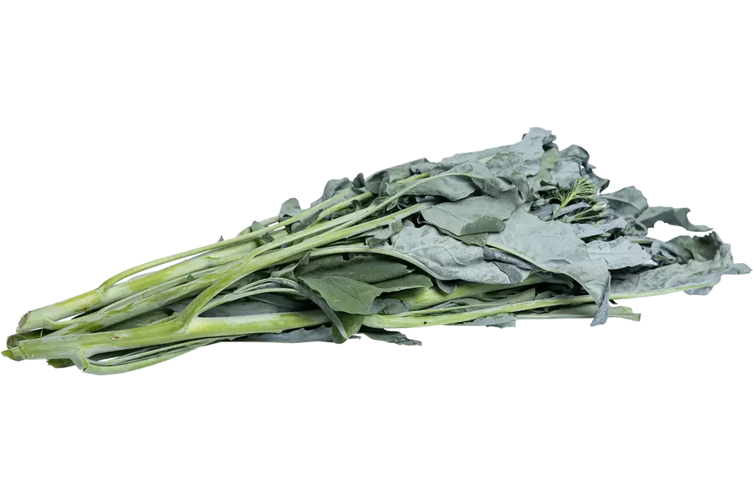 Bladbroccoli 250gr.