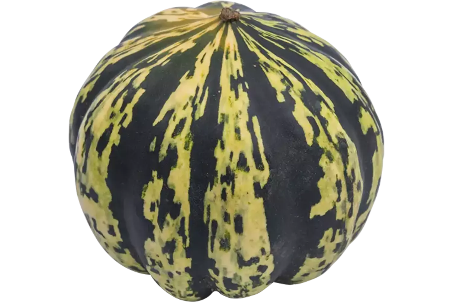Ananas pompoen kist 1 stuk