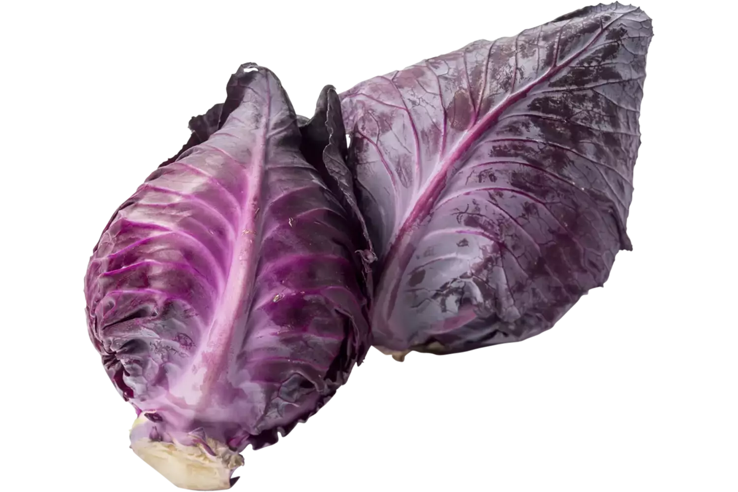 Chou pointu violet pièce