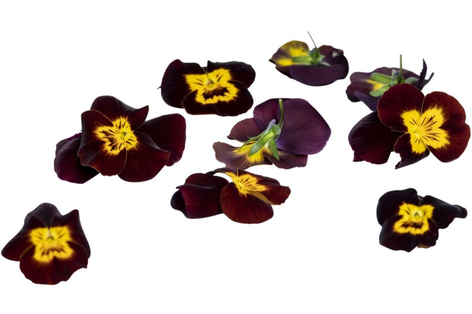 Eetbare bloem viooltjes rood 22st stuk 1