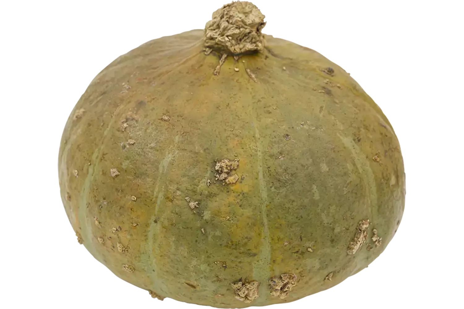 Pompoen Sweet Mama 3 a 4 kilo per kist 1 stuk