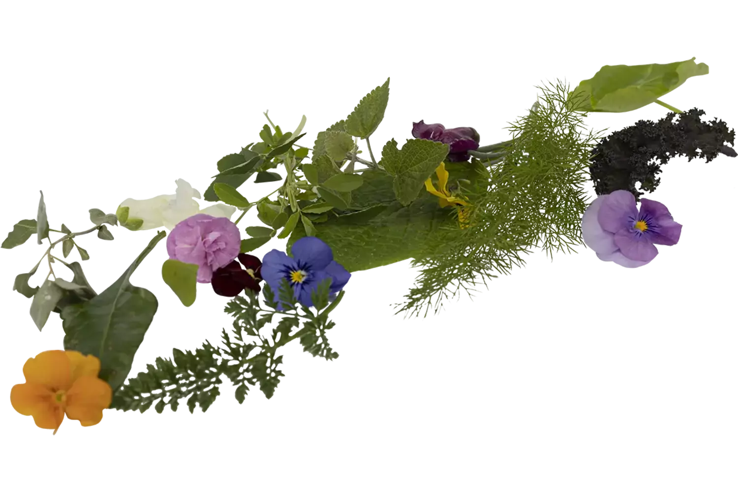 Bonte salade met bloemen 250gr stuk
