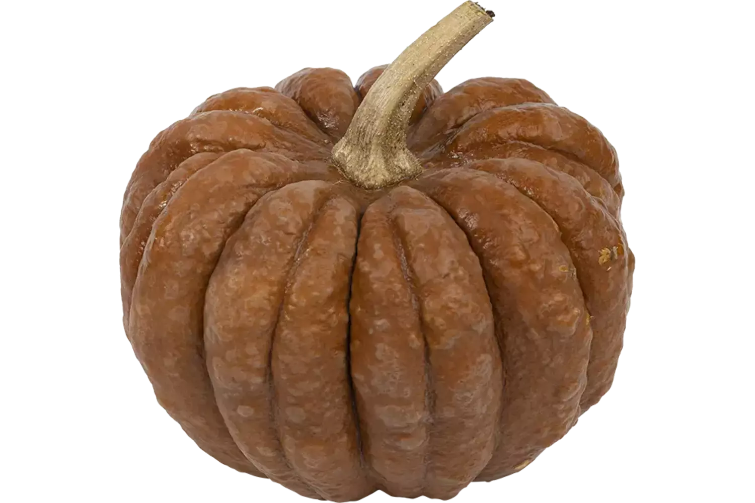Notenpompoen (1,5 tot 3 kilo) per kist 1 stuk