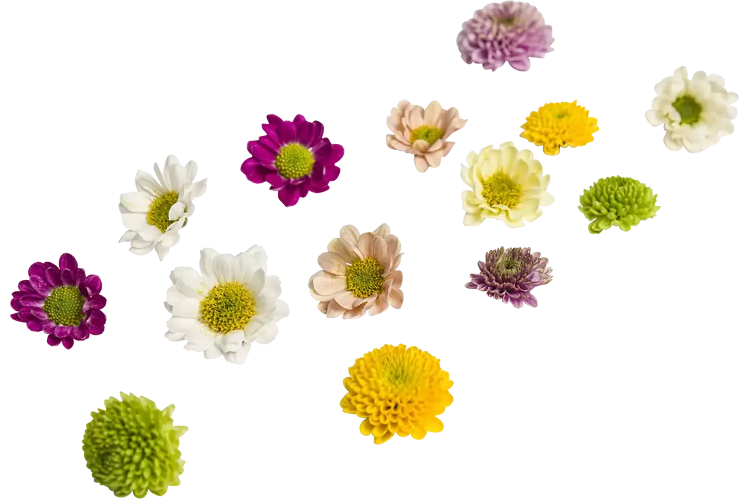 Bloem mix klein bloemig 35st stuk