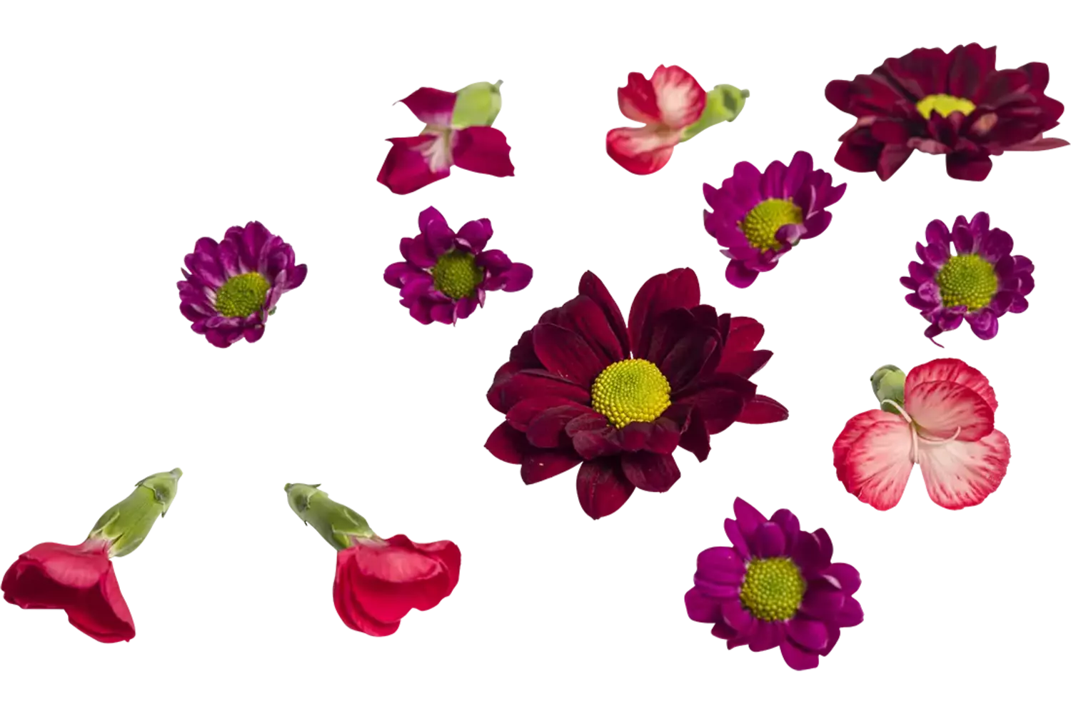 Bloem mix rood 20st stuk