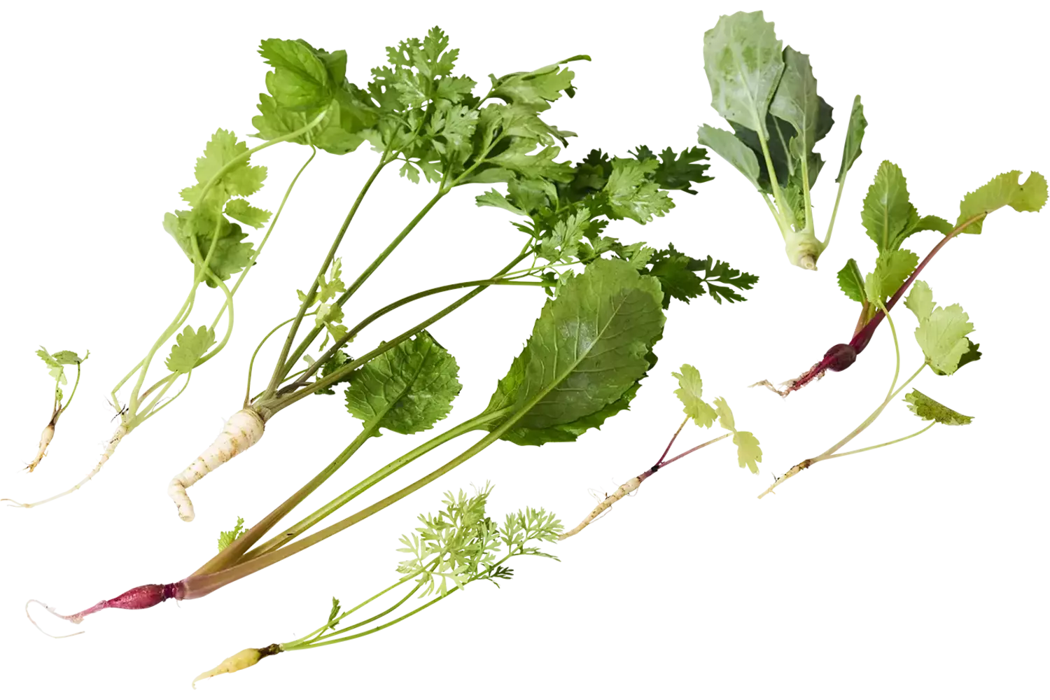 Micro vegetable mix piece