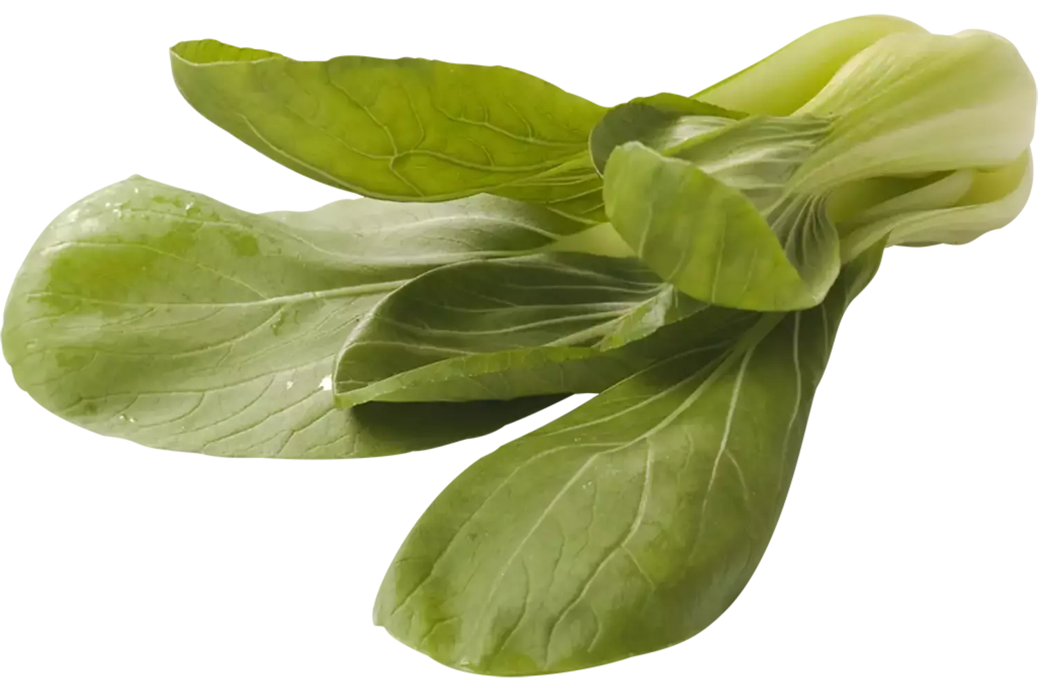 Shanghai Paksoi kist 4 kilogram