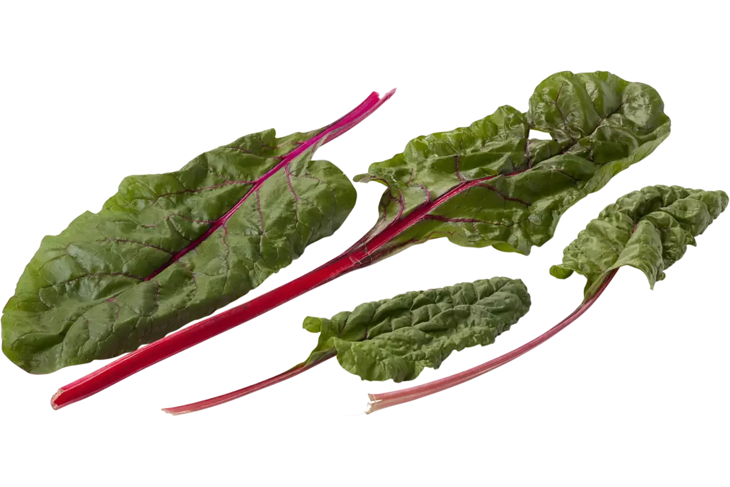 Snijbiet rood verpakt 250gr