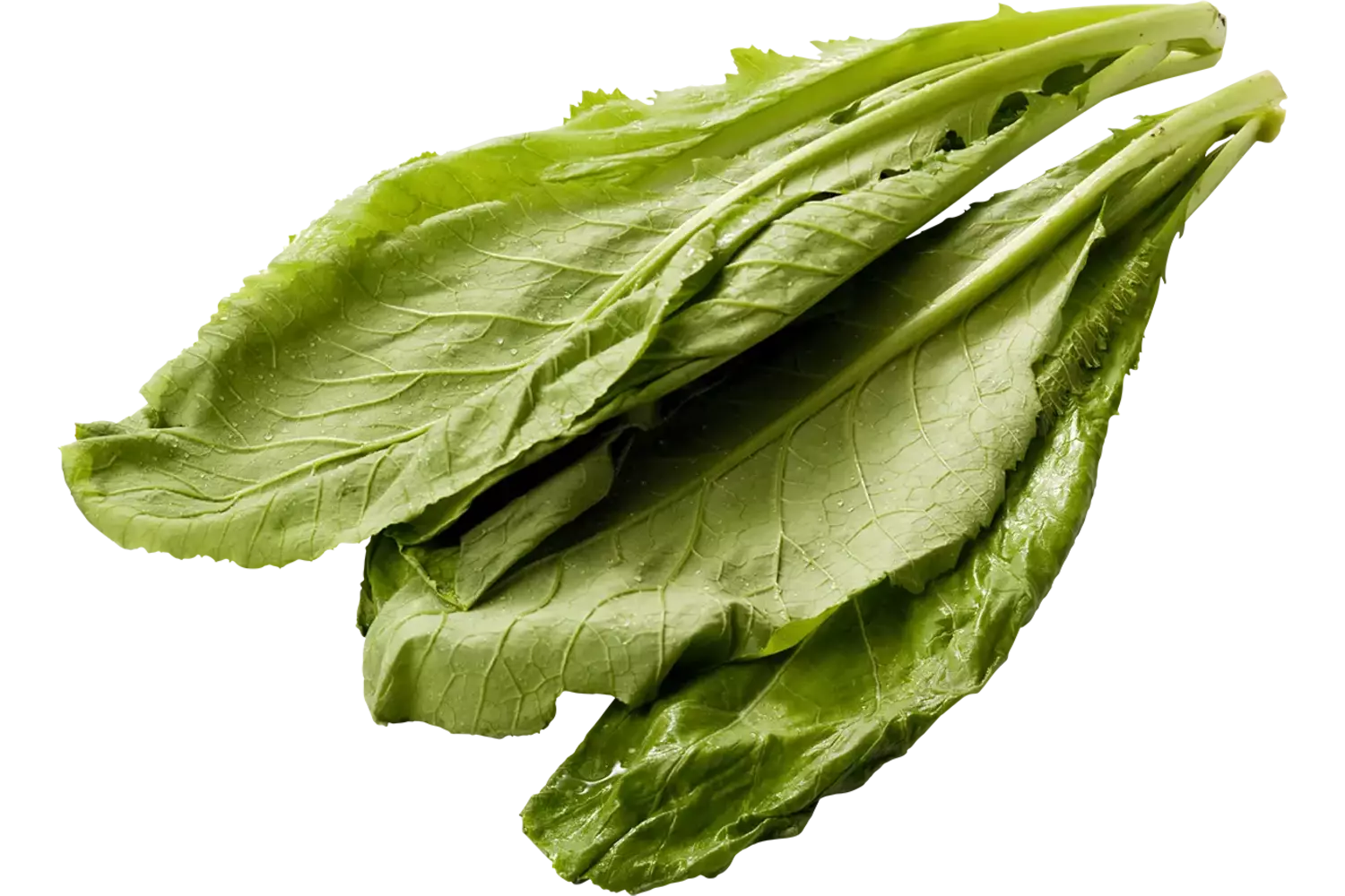 Amsoi - Mosterdblad verpakt 250gr stuk