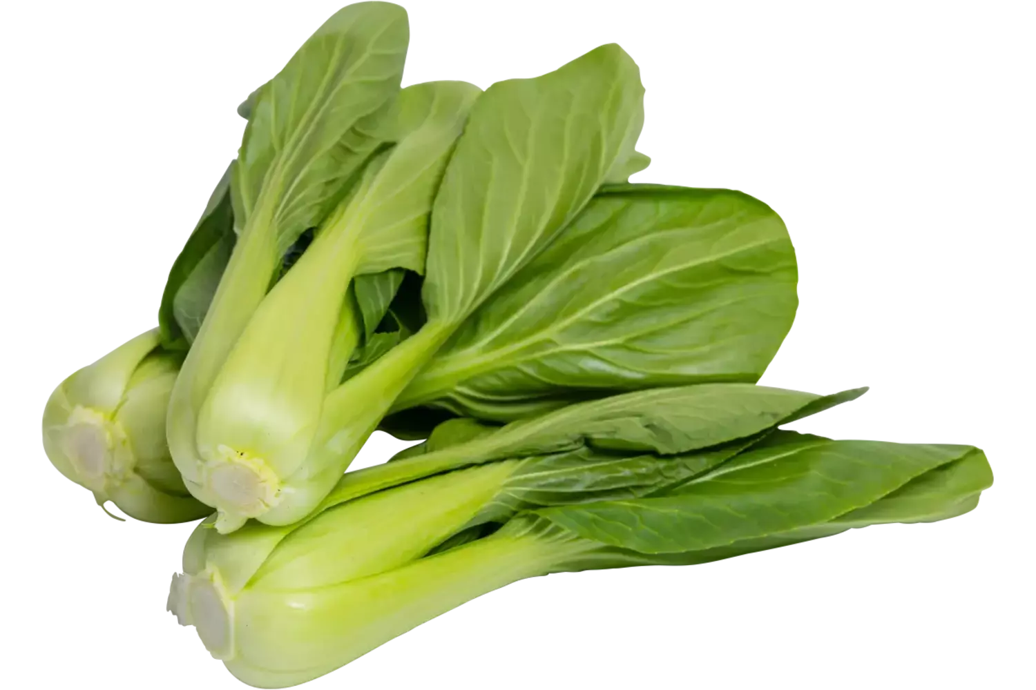 Mini Shanghai Paksoi verpakt 250gr stuk