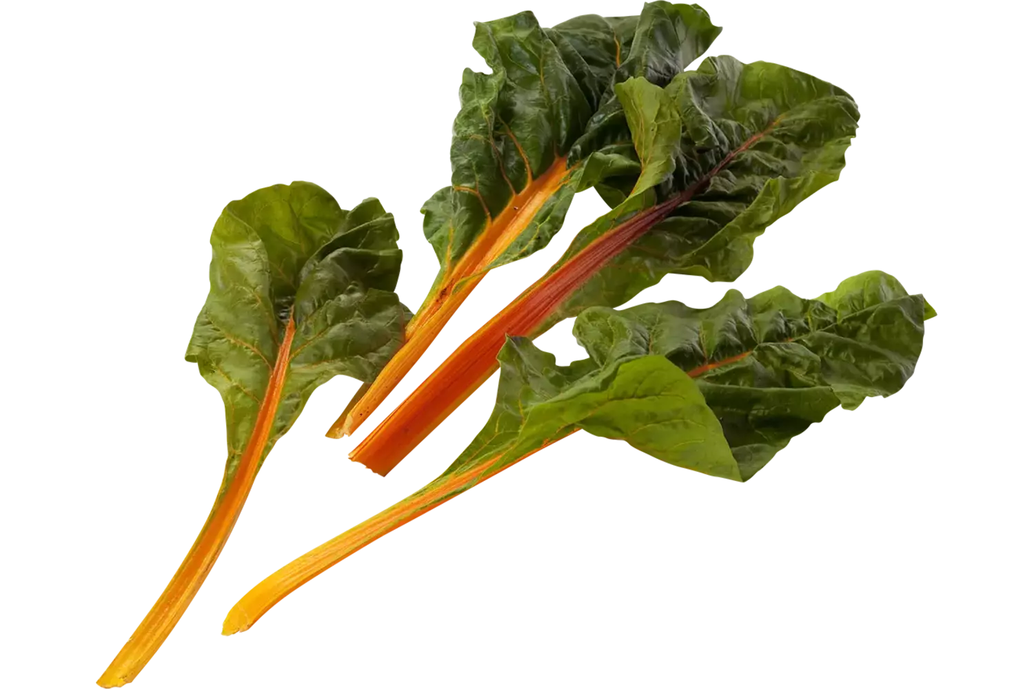 Snijbiet oranje verpakt 250gr