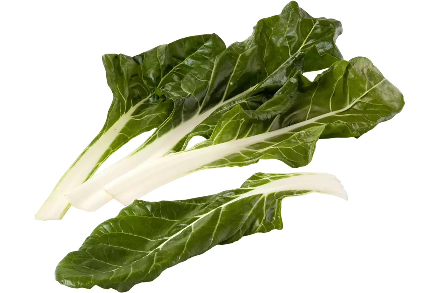 Snijbiet wit verpakt 250gr kist 4 stuks