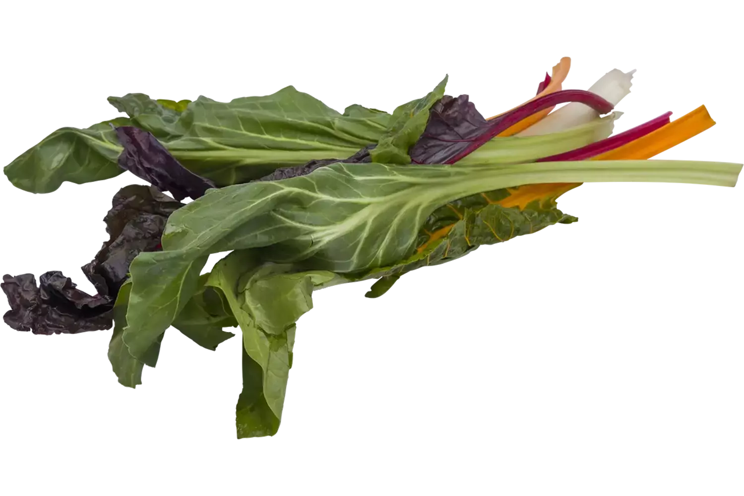 Snijbiet mix 250gr stuk