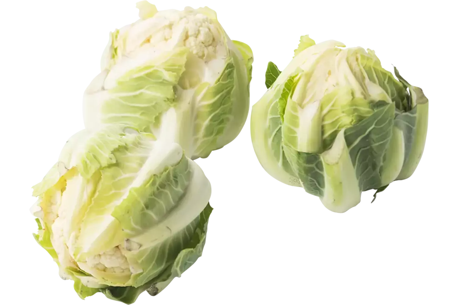 Mini cauliflower white 4 pcs piece